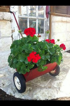 a red wheelbarrow with flowers in it sitting on a stone porch next to a window