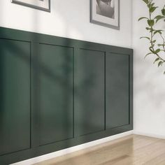 an empty room with green paneling on the wall and wooden floor, next to a potted plant