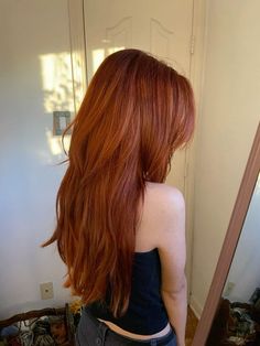 Orange Hair No Bleach, Dark Natural Ginger Hair, Gingery Red Hair, Red Hair Fairy Aesthetic, Ginger Hair No Bleach, Ginger Brownish Hair, Ginger With Shadow Root, Sunset Copper Hair, Ombré Ginger Hair