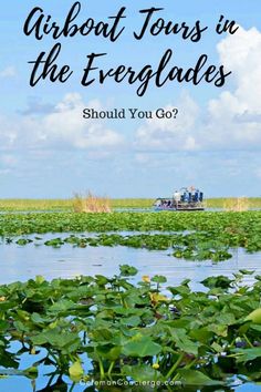 a boat in the water surrounded by lily pads with text overlay that reads, what is an airboat tour in the evergladess? should you go?