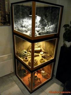 three glass display cases filled with different types of items