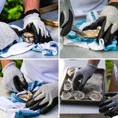 four pictures show the process of removing oysters from an open box and then cleaning them with gloves