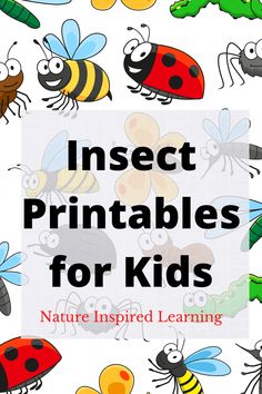 insect printables for kids with the title insect printables for kids nature inspired learning