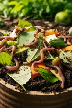 an assortment of worms and leaves in a pot