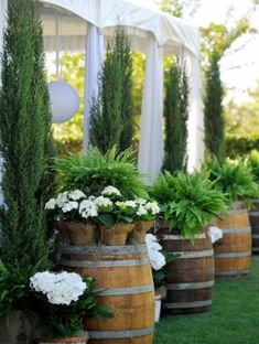 several vases with flowers are lined up on the grass in front of a white tent