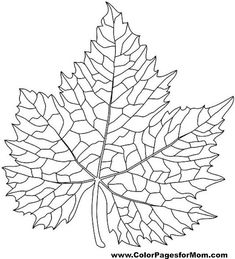 Advanced Coloring Pages, Colouring Art Therapy, Leaves Coloring, Leaf Coloring Page, Parchment Paper Craft, Leaf Outline, Color Pages, Tangle Art, Fall Coloring Pages