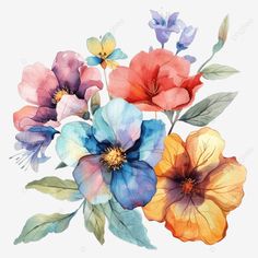 an arrangement of flowers painted with watercolors on paper, transparent png and psd