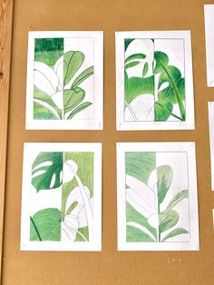 four green and white paintings on a brown surface