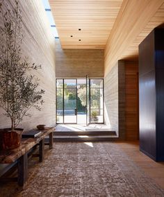 a large area rug in the middle of a room with a bench and potted plant