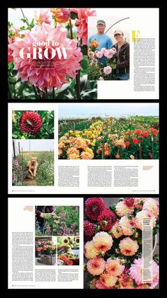 an article in a magazine about flowers and their blooming stages, with pictures of them