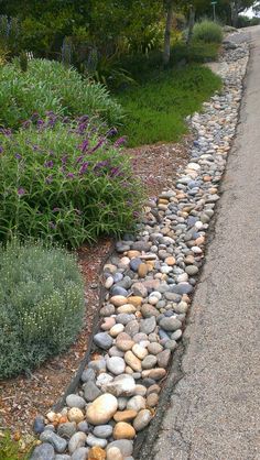 a long line of rocks on the side of a road next to bushes and flowers