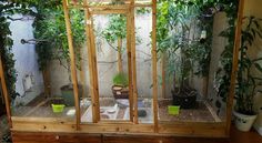 a room filled with lots of plants and potted plants on top of wooden shelves