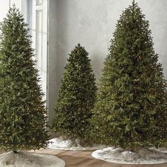 three christmas trees are lined up on the floor