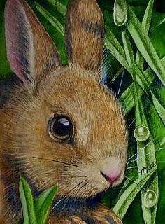 a painting of a rabbit in the grass with water drops on it's ears