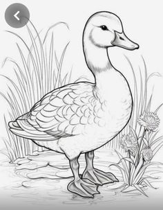 a duck that is standing in the water with grass and flowers around it's feet