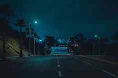 an empty street at night with lights on and palm trees in the foreground,