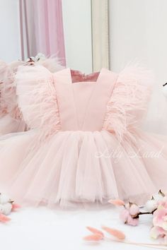 Birthday baby dress Blush baby dress Toddler dress Baby dress with feathers Short baby dress Puffy baby dress First birthday dress  Girl birthday dress Baby girl birthday Flower girl dress  Ostrich feathers baby dress  Birthday girl dress  Birthday baby dress Christmas baby dress Baby dressThis is WOW beautiful short puffy baby girl dress with feathers have very original fashionable design and made of high-quality tulle will be perfect for any celebration... birthday, wedding, parties, Christmas Tulle Party Dress With Feathers, Party Dresses With Feathers And Tulle Material, Party Dresses With Feathers And Tulle, Elegant Ruffled Tutu Dress For First Birthday, Pink Tulle Dress With Feathers, Pink Feather Trim Wedding Dress, Princess Style Tutu Dress With Feather Trim For Party, Fitted Princess Dress With Feather Trim