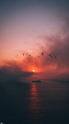 birds flying over the ocean at sunset with a cruise ship in the backgroud