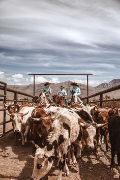 Ranching Aesthetic, Western Aesthetic Wallpaper, Mode Country, Cowboy Photography, Foto Cowgirl, Hats Western, Western Prints, Western Photo