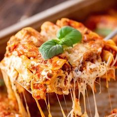 a close up of a slice of pasta on a fork