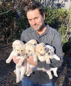 a man holding five puppies in his hands