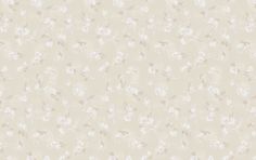 an image of a wallpaper with white flowers on the side and light brown background