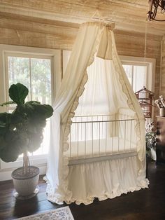 a canopy bed in a room next to a potted plant and window with curtains