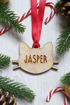 a personalized wooden ornament hanging from a christmas tree with candy canes