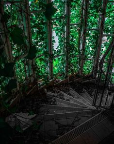 an abandoned building with ivy growing all over it's walls and stairs leading up to the second floor