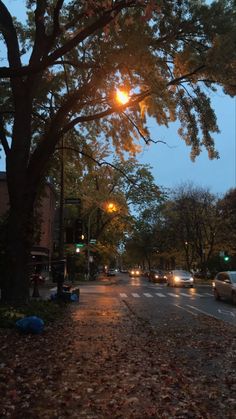 a city street at night with cars parked on the side and trees lining the road