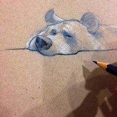 a drawing of a polar bear's head is shown with a pencil in it