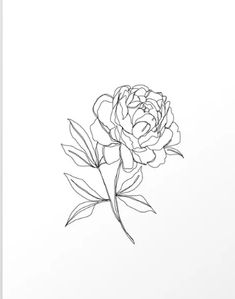 a black and white drawing of a single flower on a white paper background art print