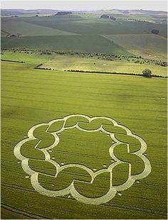 an aerial view of a field with circles drawn in the grass