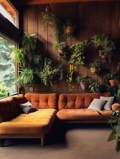 an orange couch sitting in front of a window next to potted plants on the wall