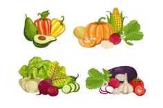 four different types of vegetables on a white background