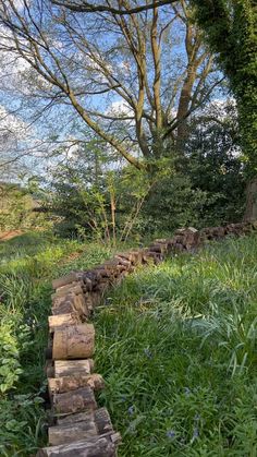 a stone wall in the middle of a grassy field