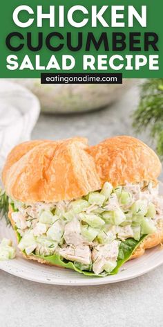 chicken cucumber salad recipe on a white plate with lettuce and bread