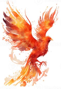 Harry Potter Phoenix Bird, Phoenix Painting, Phoenix Drawing, Phoenix Artwork, Phoenix Images, Harry Potter Painting, Hybrid Art, Phoenix Art, Phoenix Bird