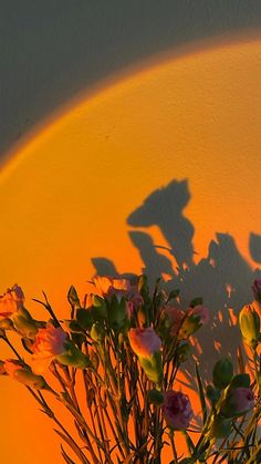 the shadow of two people on a wall with flowers in front of it and a rainbow behind them