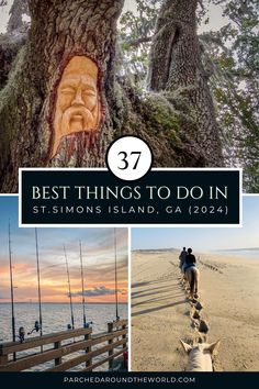 the best things to do in st simon's island, caa 1224