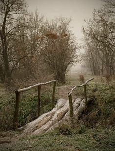 a wooden fence in the middle of a forest