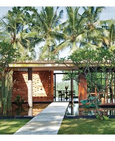 the house is surrounded by palm trees and greenery