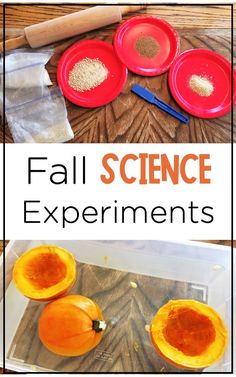 the science experiment shows how to make pumpkins