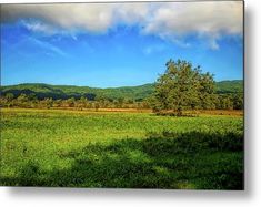 an open field with trees and mountains in the background metal print by person, photographer