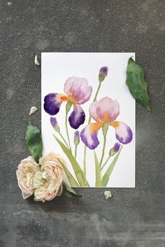 some flowers are laying on the ground next to a piece of paper with watercolor paint