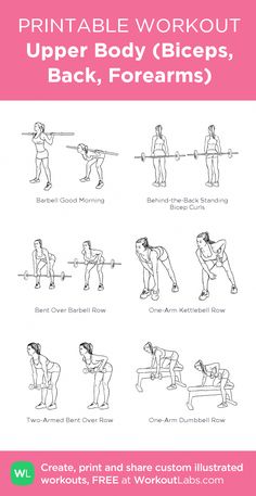 the printable workout guide for upper body biceps, back, and forearms