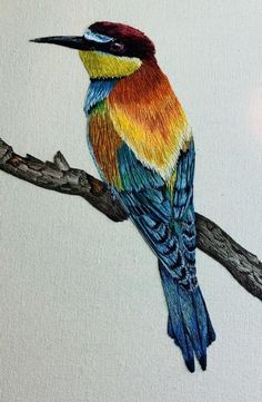 a colorful bird sitting on top of a tree branch