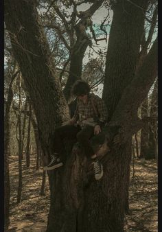 a man sitting on top of a tree in the woods