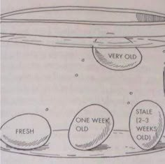 an image of a drawing of eggs in a jar with labels on them that read very old, one week, 2 - 3 weeks, and fresh