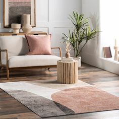 a living room filled with furniture and a potted plant on top of a wooden table